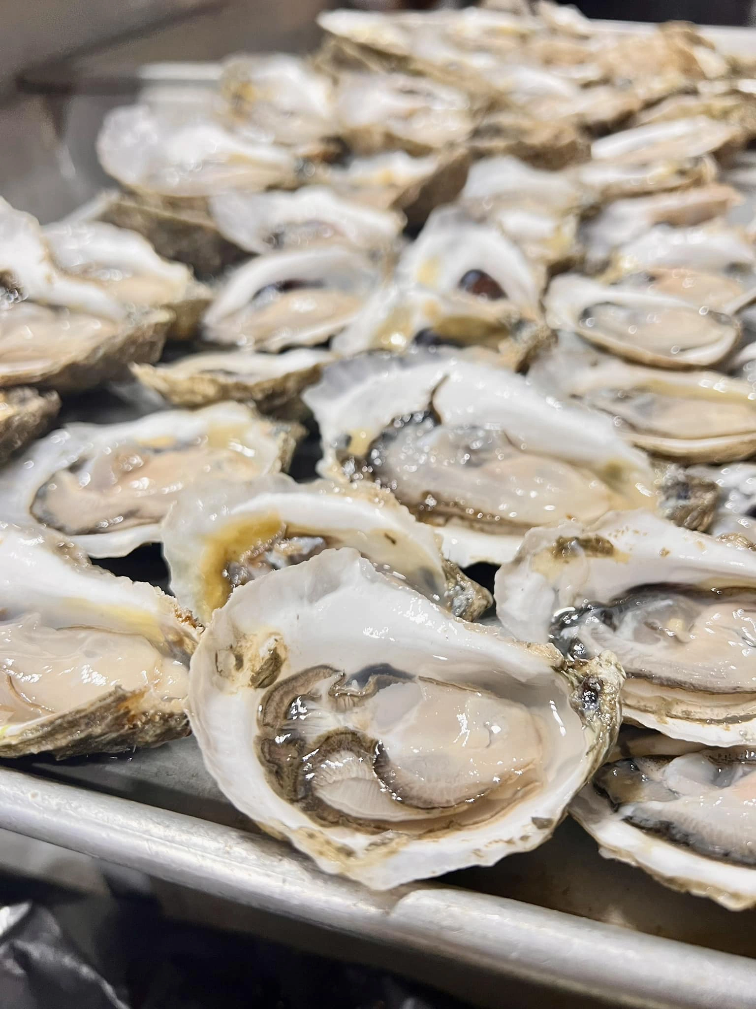 Our Photos Uptown Raw Bar & Grill